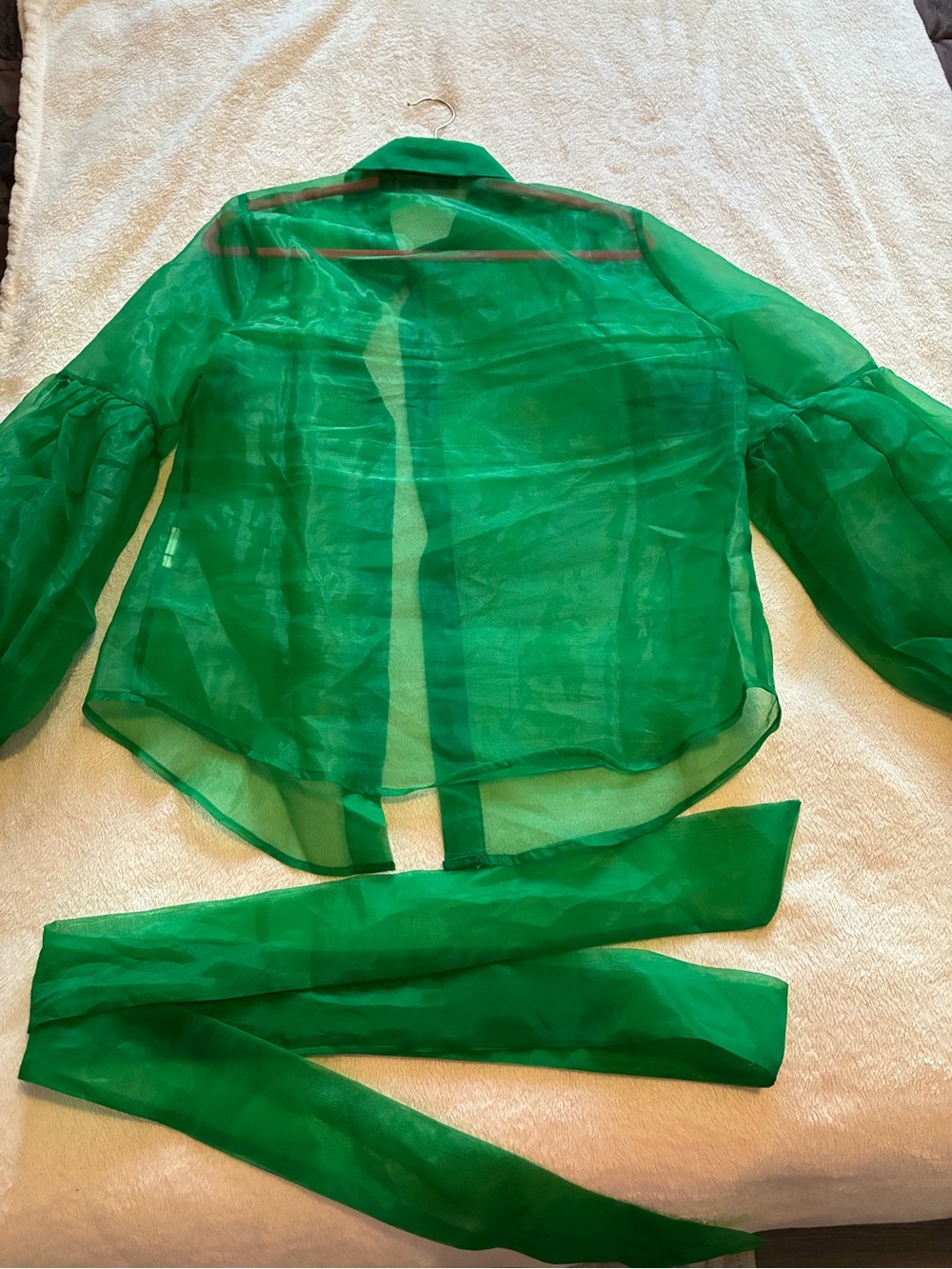 Sheer Green Button-Front Women's Blouse Jacket - Picture 2 of 2